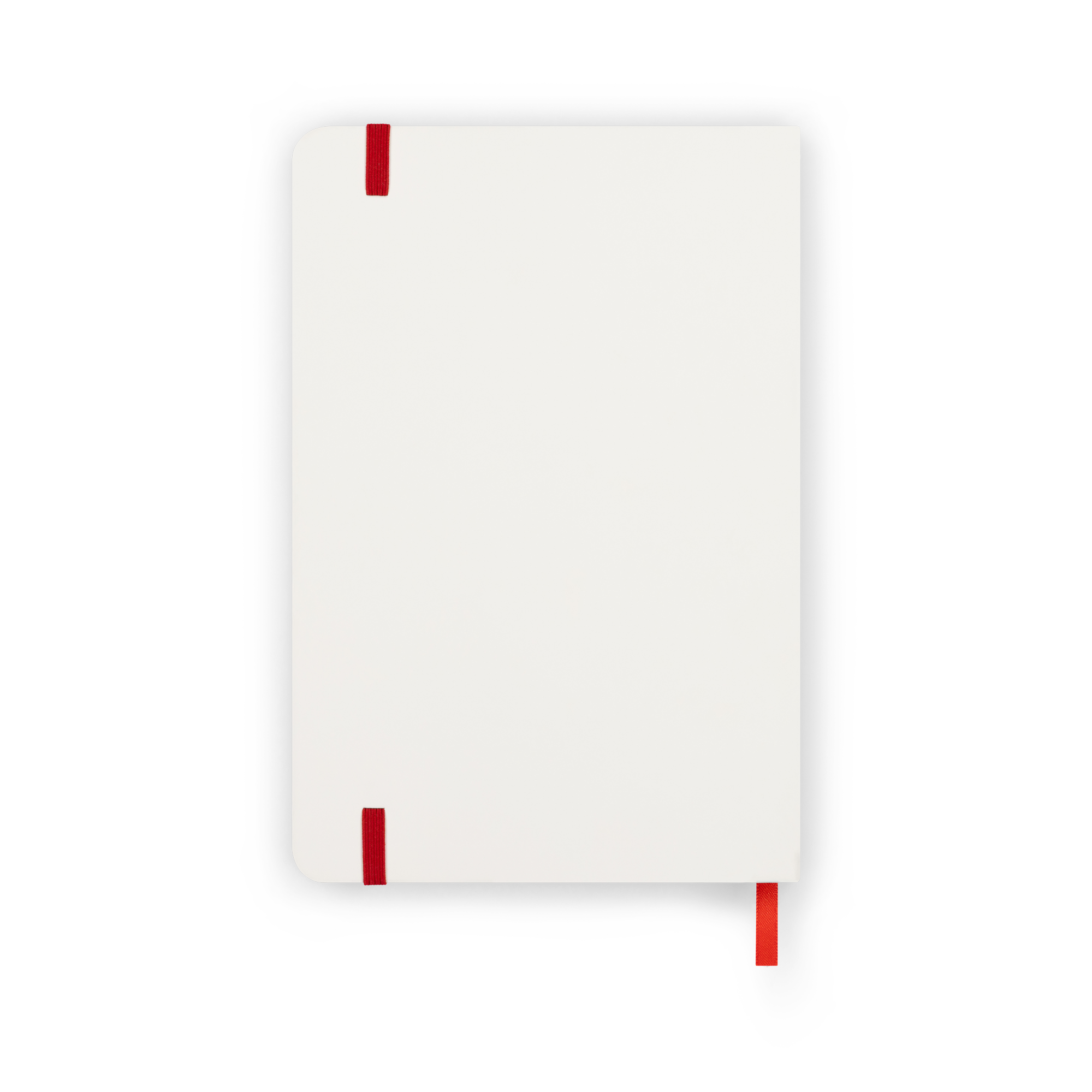 The Last Dinner Party - From The Pyre Notebook