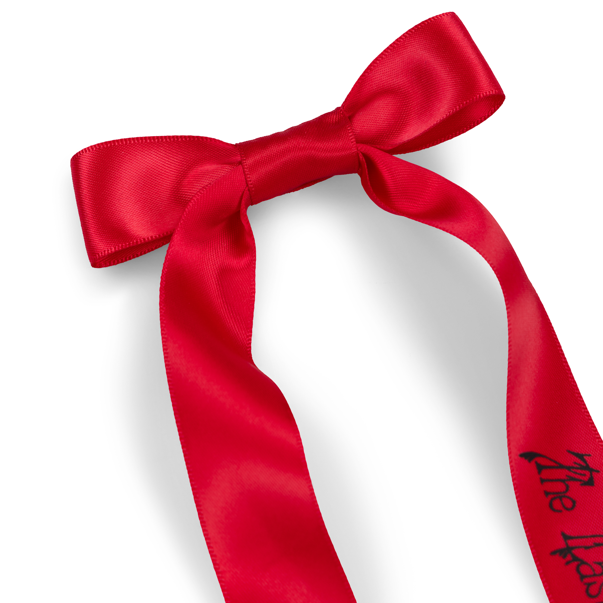 The Last Dinner Party - Red Satin Hair Bow